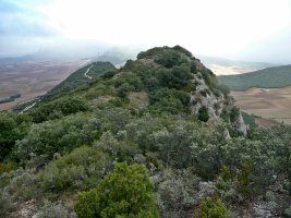 Ekialdeko Tontorretik