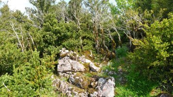 Urrizmunuko gailur itxia