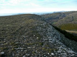 Mendebaldeko Tontorra