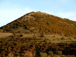 Mendebaldeko Tontorra