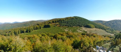 Learpuru Urrizkaingo gailurretik, udazkenean