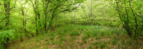 Zarranzmendiko gailurra