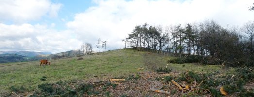 Ilaragorriko gailurra