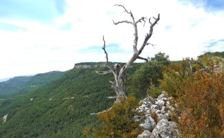 Arrigorriako gailurra