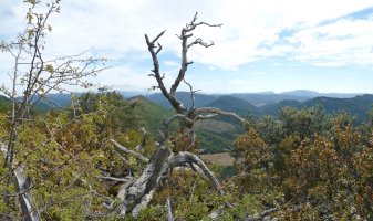 Arrigorriako gailurra