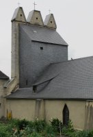 Notre Dame eliza, Maule