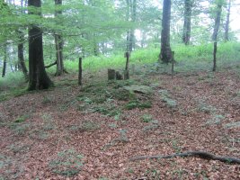 Dólmen Muñaan  (Junio 2014)