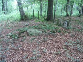 Dólmen Muñaan  (Junio 2014)