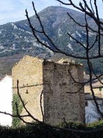 Cascante dorrea, Elo