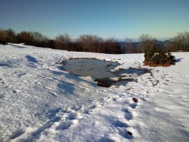 Iruiako urputzua izoztua