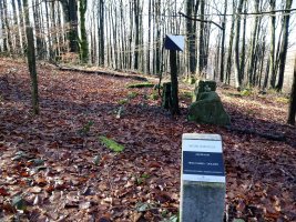 Muñaan trikuharria (2018)