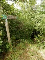 Tontorretik basora jaisten den bidearen hasiera