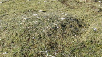 Manzuruturri 2 este tumulua, Arraia-Maeztu