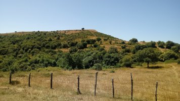 Armikelo (888) Zarandona lepotik