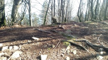 Eskortazarreta (890m) tontorra