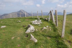 Errenga gailurra, atzean Aiako Harria