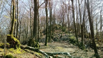 Otsabio eta Laparmendi arteko gandorra