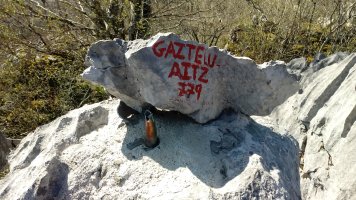 Gazteluaitz-Minatxuri (779m) tontorreko harria
