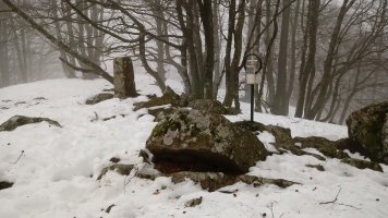 Oregi (924m) tontorra