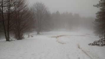 Arrola (904m) tontorrera bidean