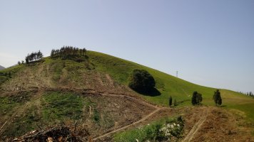 Arbil (434m) Lizarretarako bidetik