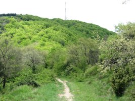 Bustuko Gana, ekialdetik