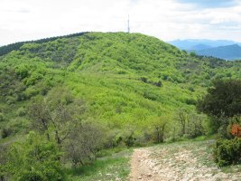Bustuko Gana, Zaldiaranen mendebaldeko bizkarretik