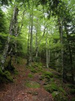 Castiello d'Acher, bideko pasarte bat