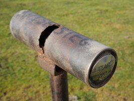 Antsestegiko txartelontzia, Lizartzu dioen arren