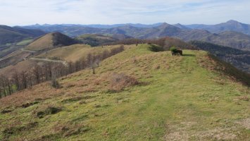 Meatzetako Bizkarretik Otsondo aldera jaisten