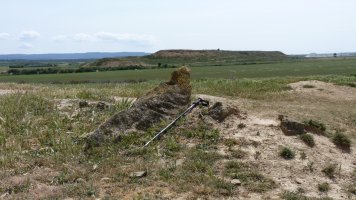 CORAL DE LA FALCONERA