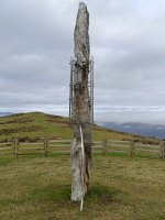 Kurtzegan (Kolometa) Zutarria