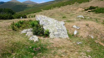 Soroluxe trikuharria