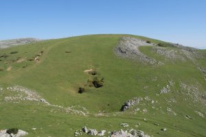 Desaomendi Atxispurutik