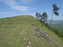 Mintxegi, ekialdeko bizkarretik