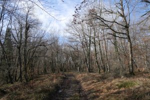 Beuntza Gaina zeharkatzen duen bide zabala