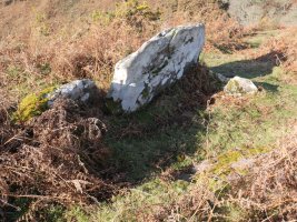 Mendixar trikuharria