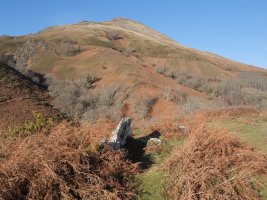 Mendixar trikuharria