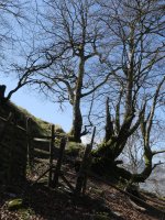 Malkorraundi, azken aldapa