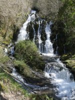 Antzubiaga ur-jauzia