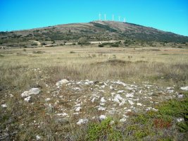 alto de la mazorra
