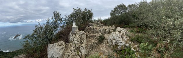 Tontorra