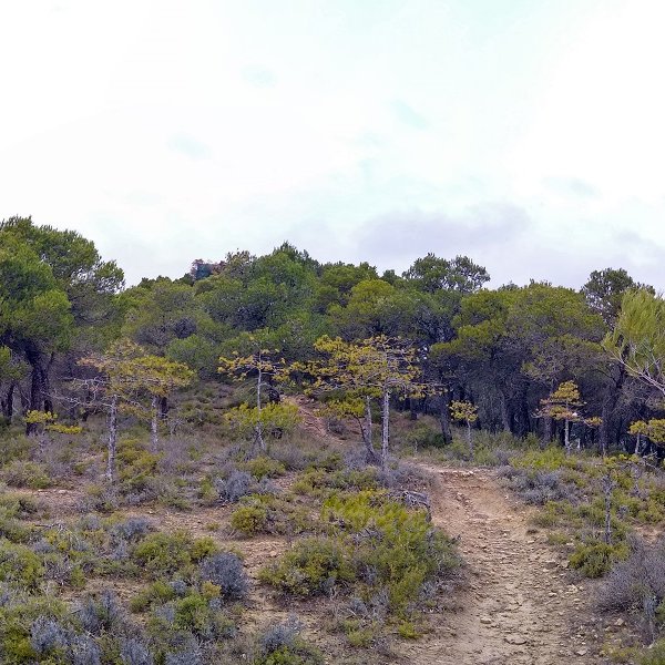 Montenegroko gainaldea