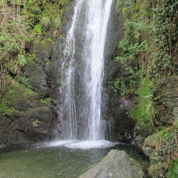 Putzubeltza Ur-jauzia, Arantza