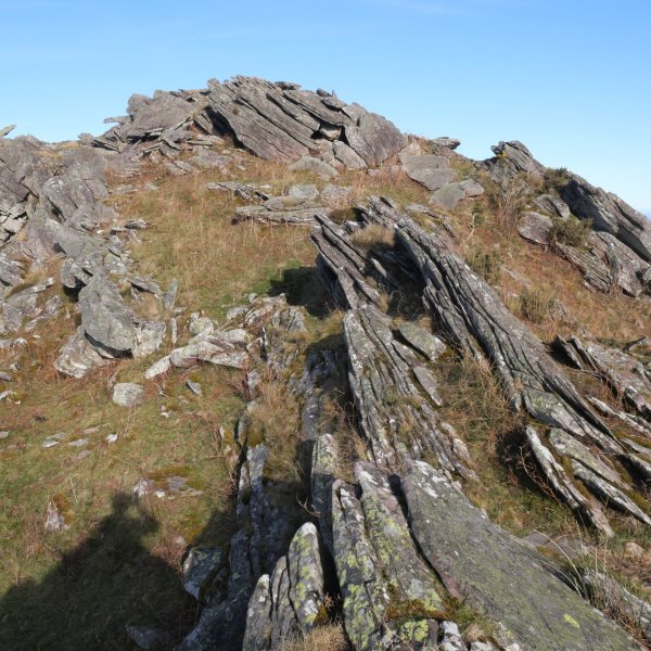 Betarteko Harria, tontorra