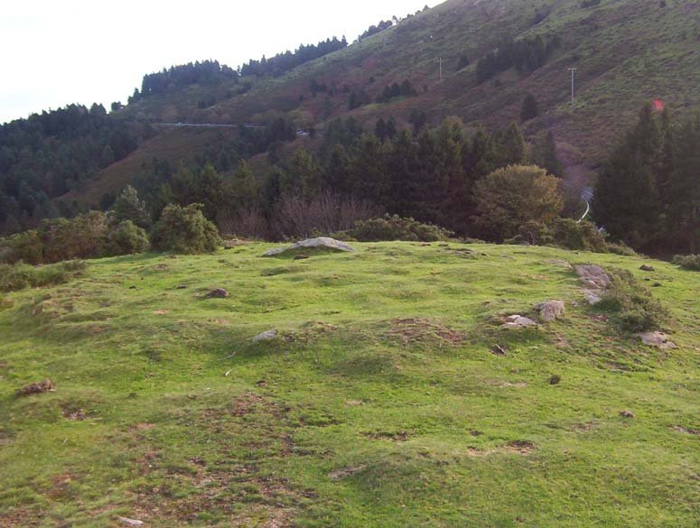 Kausoroko beste mairubaratza