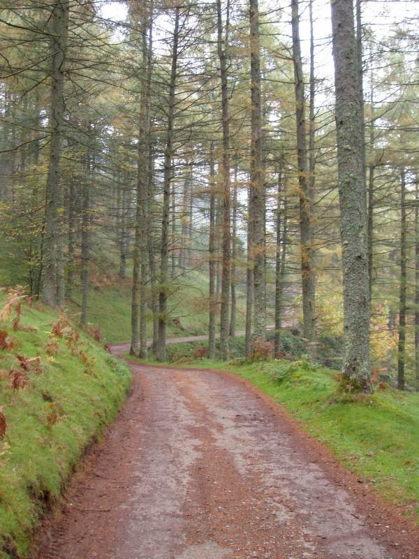 Trekutz eta Gorla arteko bidea