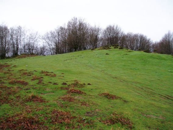 Kurutzebakar: tontorra eta inguruko larreak