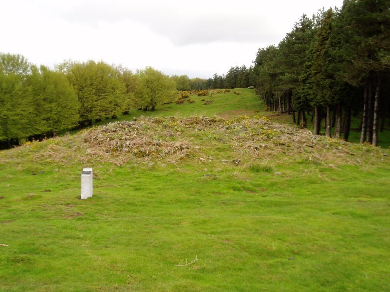 Irukurutzetako trikuharria