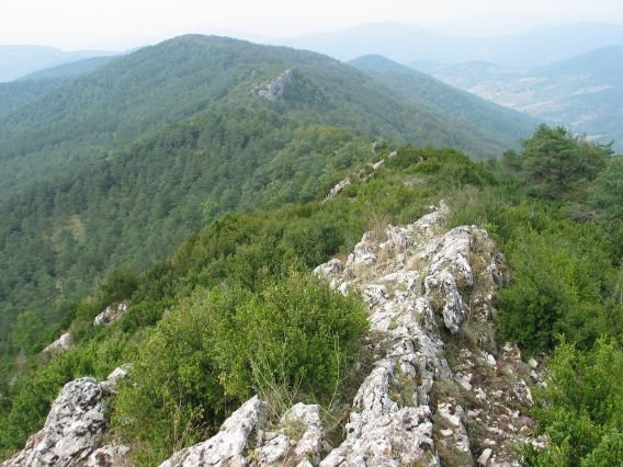 Mendebaldeko ikuspegia